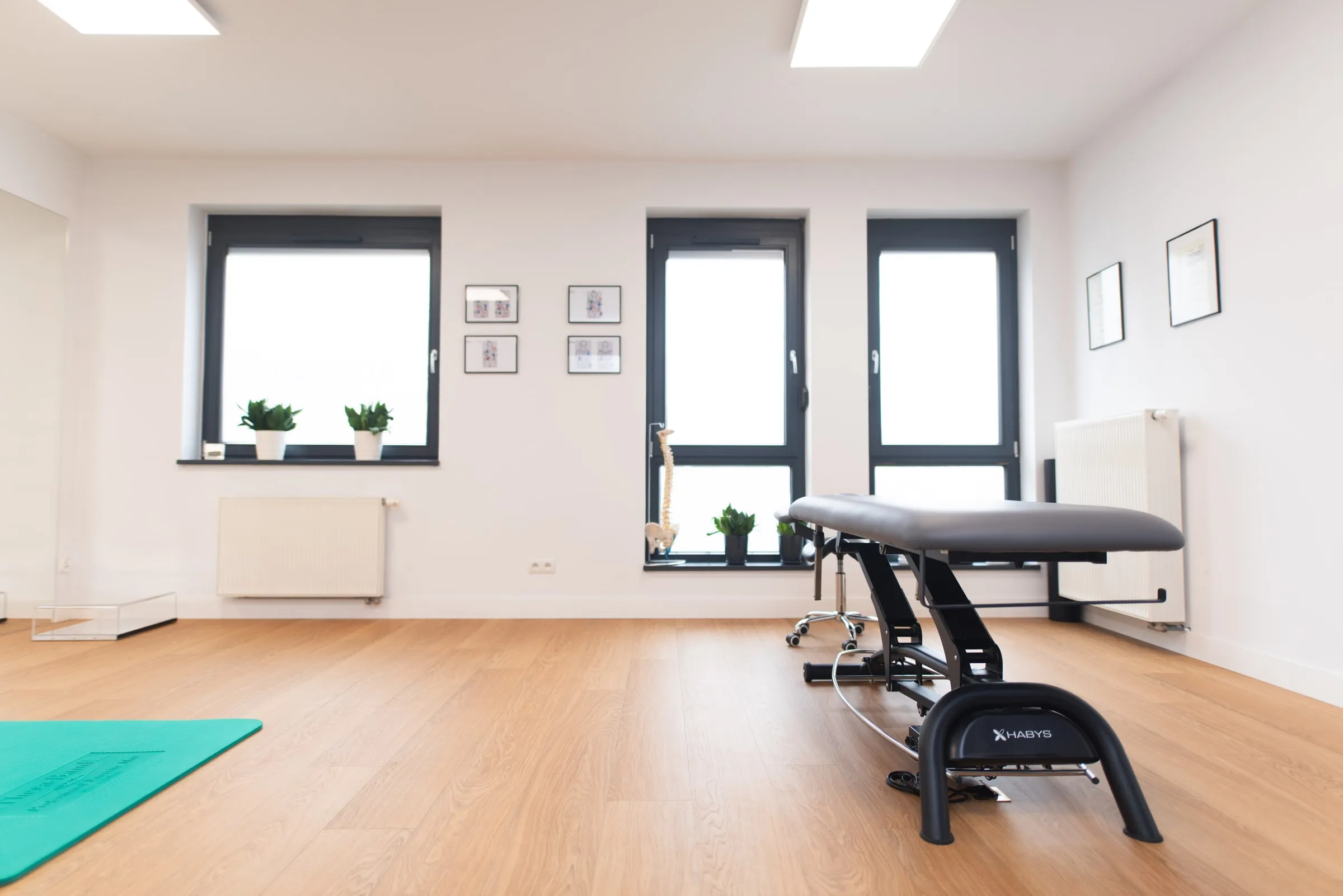 Leżanka terapeutyczna przy oknach, obok model kręgosłupa